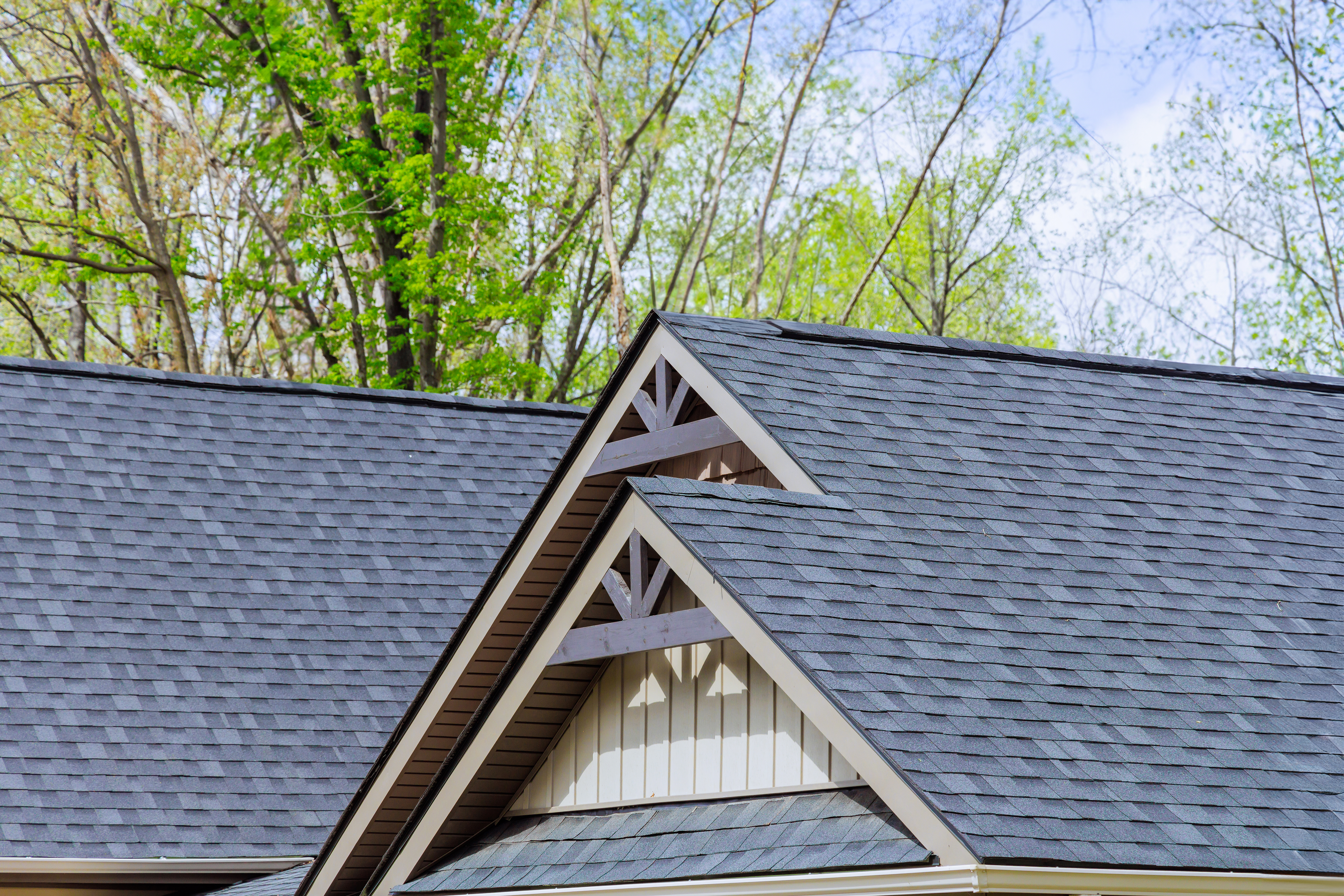 Suburban home roof